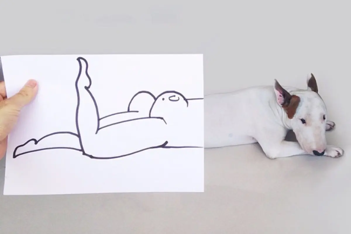 21 Karya Ilustrasi Lucu Hasil Duet Seniman Brasil dan Anjing 