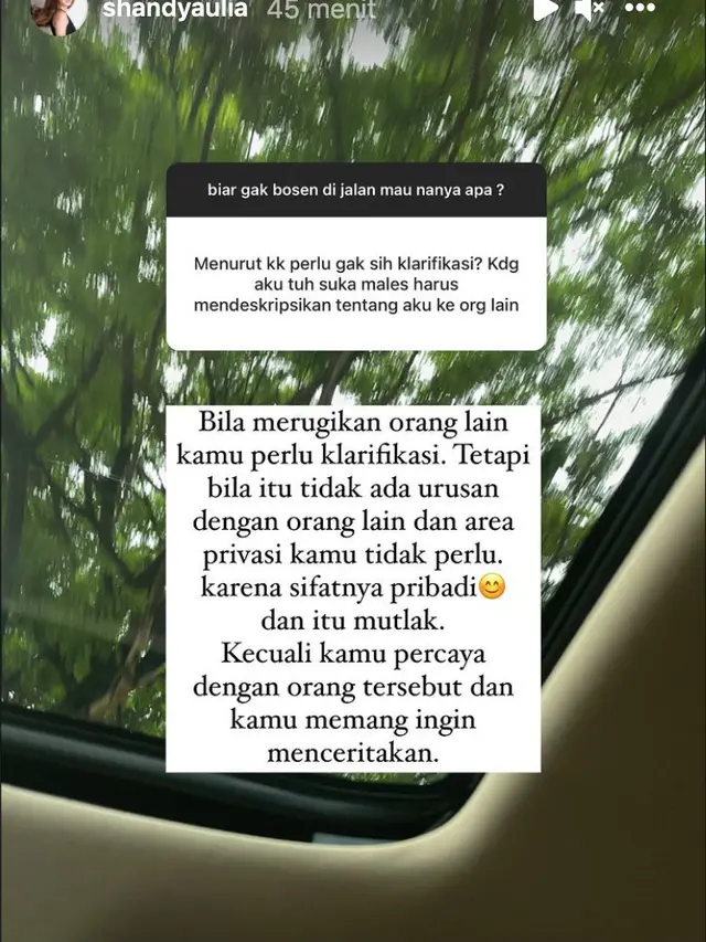 Unggahan Shandy Aulia. (Foto: Instagram @shandyaulia)