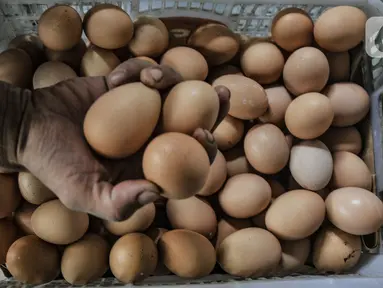 Pekerja saat memperlihatkan telur ayam di salah satu agen di kawasan Jakarta, Selasa (14/3/2023). Menjelang Ramadan harga telur ayam merangkak naik kisaran 8-10 persen dari bulan sebelumnya menjadi Rp30.000 per kilogram. (merdeka.com/Iqbal S Nugroho)