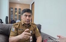 Pertanian Papua Jadi Motor Penggerak Utama Ekonomi Daerah di Triwulan I 2026