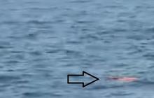 Pencarian Jurnalis Hilang Kontak di Selat Sunda, TNI AL Temukan Pelampung dan Buoy