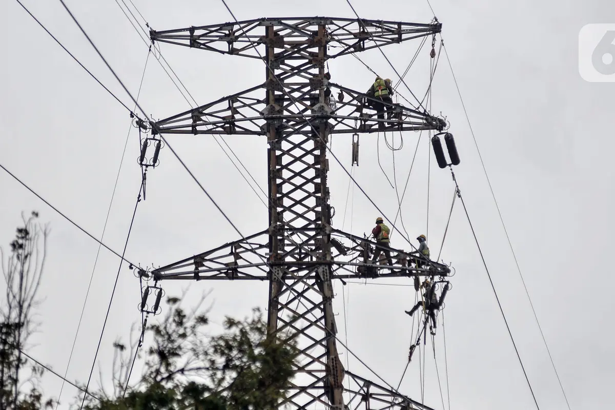 Perbaikan Rutin Jaga Stabilitas Sistem Kelistrikan Menara SUTET