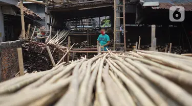 Perajin memilah bambu yang biasa digunakan sebagai tiang bendera di kawasan Manggarai, Jakarta, Kamis (6/8/2020). Adanya pandemi covid-19 menyebabkan penjualan bambu menurun hingga 35% dibanding tahun lalu. (Liputan6.com/Immanuel Antonius)