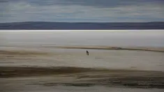 Seorang pria berjalan di sepanjang danau Tuz di provinsi Ankara, Turki pada 25 Oktober 2021. Danau terbesar kedua di Turki dan rumah bagi beberapa spesies burung telah sepenuhnya surut tahun ini akibat perubahan iklim yang melanda wilayah tersebut.  (AP Photo/Emrah Gurel)