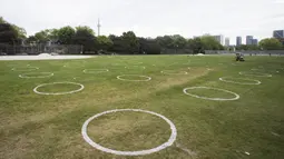 Sejumlah lingkaran putih terlihat di Taman Trinity Bellwoods, Toronto, Kanada, Kamis (28/5/2020). Taman Trinity Bellwoods digambari lingkaran-lingkaran putih sebagai proyek uji coba untuk mendorong warga melakukan jaga jarak fisik (physical distancing) selama pandemi COVID-19. (Xinhua/Zou Zheng)