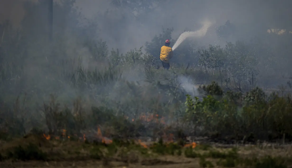 Quebec mencari dukungan internasional saat berjuang melawan lebih dari 160 kebakaran hutan selama apa yang menurut para pejabat federal menjadi salah satu musim kebakaran terburuk yang pernah terjadi di Kanada. (Darryl Dyck/The Canadian Press via AP)