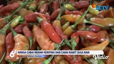 Mendekati bulan puasa, tak hanya harga daging sapi dan daging ayam, lonjakan harga juga terjadi pada sayur mayur dan gula pasir. Daya beli masyarakat menurun, omset para pedagang pun turut anjlok.