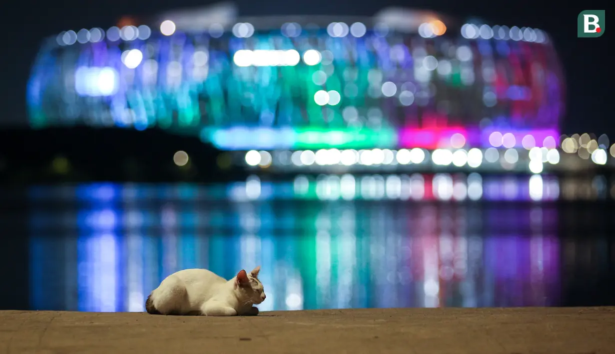 <p>Seekor kucing duduk dengan latar belakang Jakarta International Stadium (JIS) yang dilihat dari Danau Cincin, Papango, Tanjung Priok, Jakarta Utara, 19 April 2022. (Bola.com/Bagaskara Lazuardi)</p>