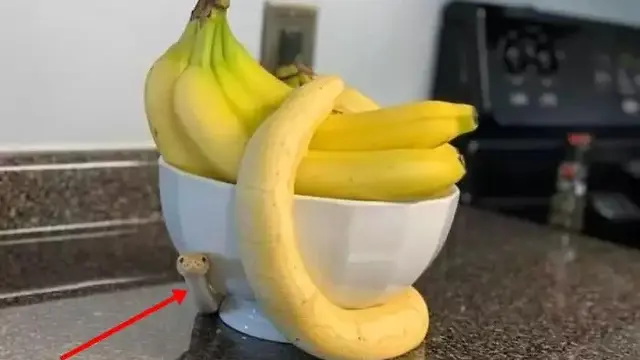 6 Potret Benda Mirip Buah Ini Bikin Melongo, Perlu Teliti