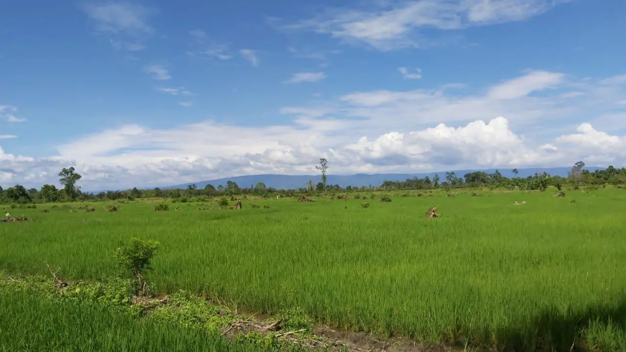 Kementan