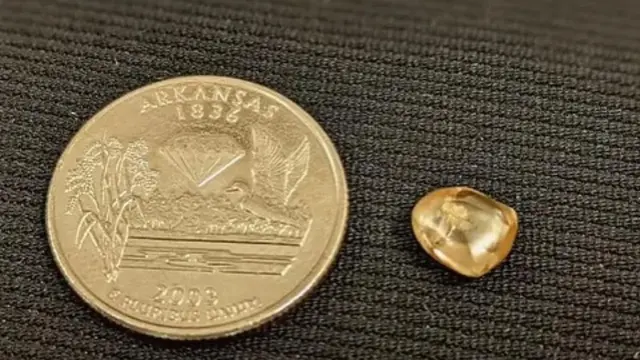 Demi Cincin Pertunangan Impian, Pria Amerika Gali Tambang Berlian Sendiri