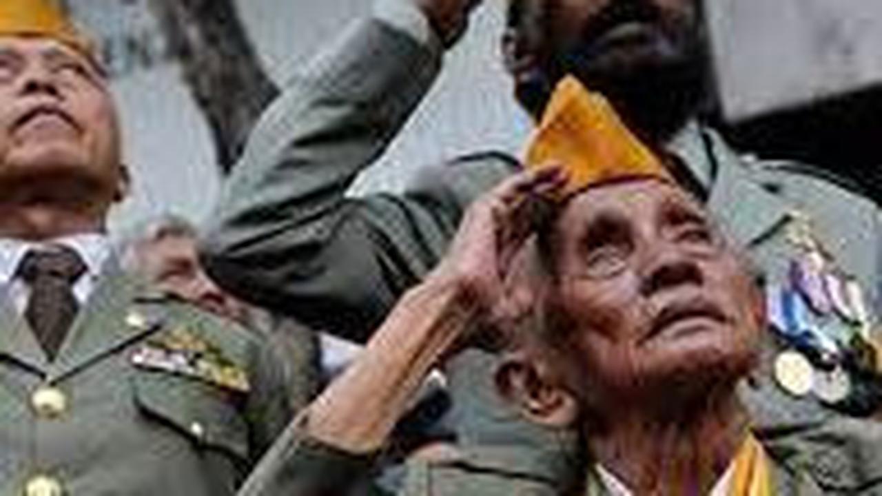 Peran dan Tugas Veteran