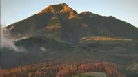 Gunung Lawu. (dok.Instagram @lawumountain/https://www.instagram.com/p/CR7hXf0JLxv/Henry)