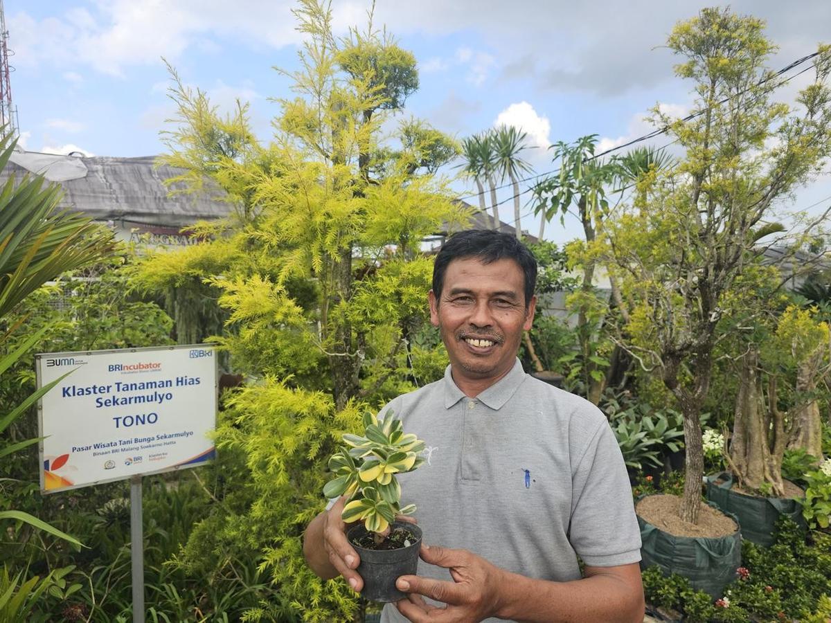 Kisah Klaster Usaha Tanaman Hias Binaan BRI