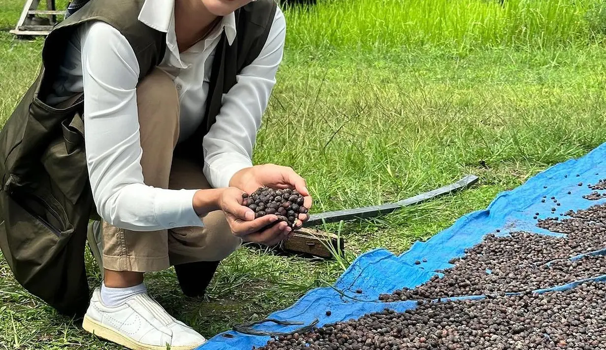 Hijab turban dan rompi WWF jadi item wajib yang dikenakan Aurelie selama eksplorasi di Aceh [@wwf_id]