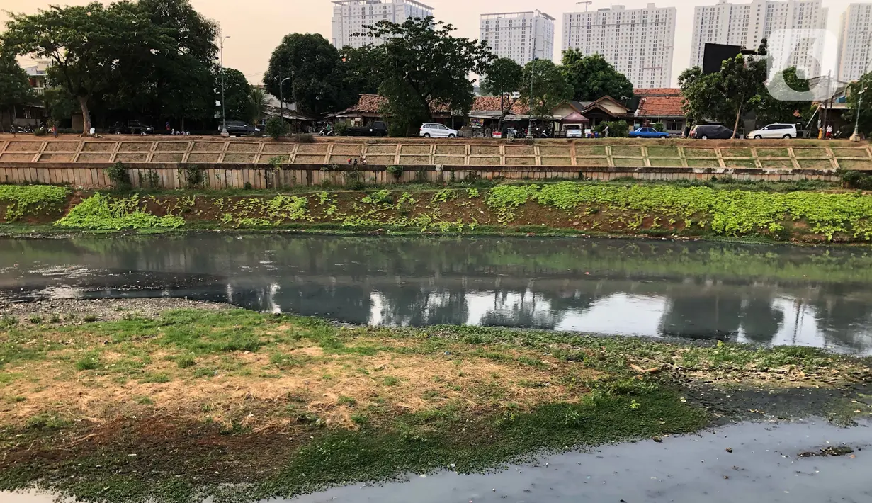 Suasana aliran Kanal Banjir Timur (KBT) yang mengering di kawasan Cipinang Muara, Jakarta, Jumat (11/9/2020). Curah hujan yang rendah selama musim kemarau menyebabkan debit air di kawasan tersebut berkurang sehingga bantaran kanal mengalami kekeringan. (Liputan6.com/Immanuel Antonius)