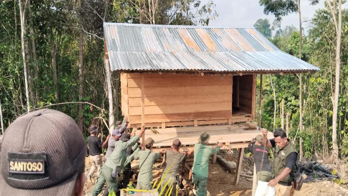 Upaya Mengembalikan Rumah Terakhir Gajah di Seblat Bengkulu dari Perambah Liar Berlanjut, 1 Pemilik Kebun Sawit Ilegal Ditangkap