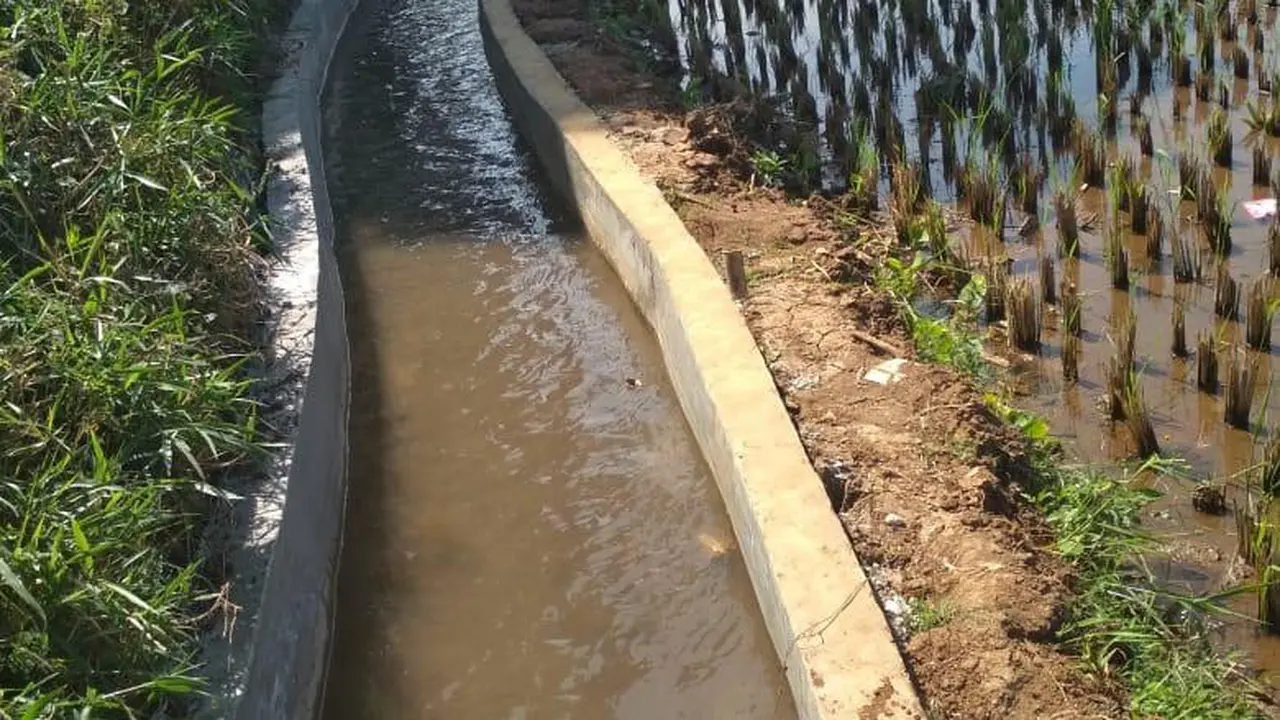 Tingkatkan Luas Areal Tanam Kementan Canangkan Program RJIT 135.861 Ha