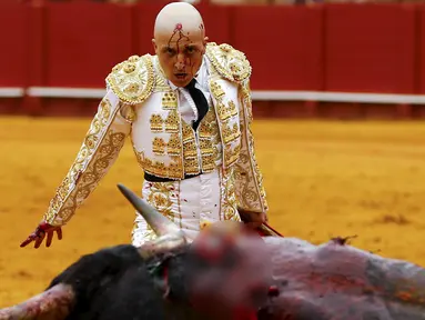 Matador Spanyol, Javier Castano berlumuran darah saat adu banteng di arena The Maestranza, ibukota Andalusia, Seville, (17/4). Javier Castano berlumuran darah setalah menusukkan pedang kedalam tubuh bantengnya. (REUTERS / Marcelo del Pozo)