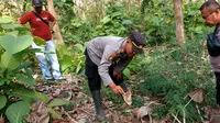 Kerangka manusia ditemukan di hutan jati di wilayah Perkebunan PTPN XII, Desa Seneporejo Banyuwangi (Istimewa)