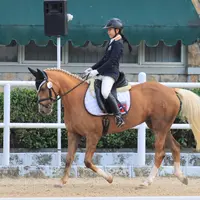 Atlet berkuda cilik, Aleeya Herlambang kembali membuktikan kemampuannya dalam Kejuaraan Equestrian Champions League (ECL) putaran 5 yang baru saja digelar akhir pekan kemarin, Minggu (30/8/2020).