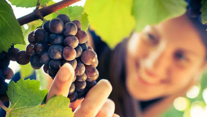 Courtesy ShutterStock.com