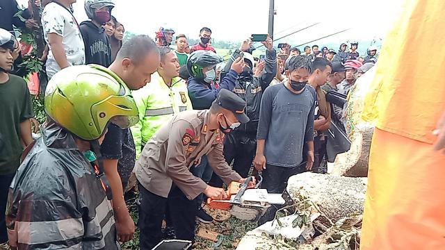 Sebuah pohon tumbang dan menimpa kendaraan minibus yang melintas di jalan utama penghubung Semingkir, Randudongkal - Pemalang. Akibatnya empat penumpang meninggal dunia. (Foto: Liputan6.com/Polres Pemalang)