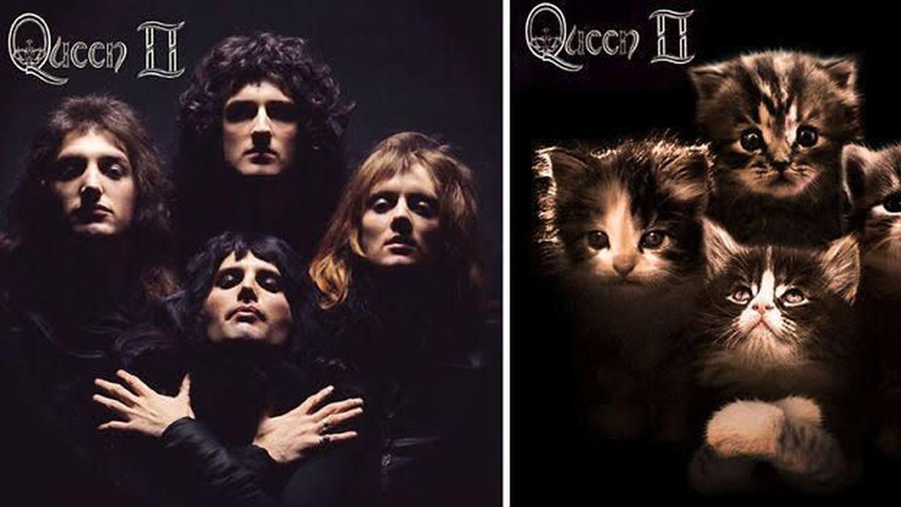 6 Editan Kucing Parodikan Cover Album Musik Ini Bikin Gemas