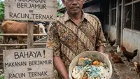 13 Sampah Dapur yang Tidak Boleh Buat Pakan Ternak, Hindari Risiko Keracunan Akut