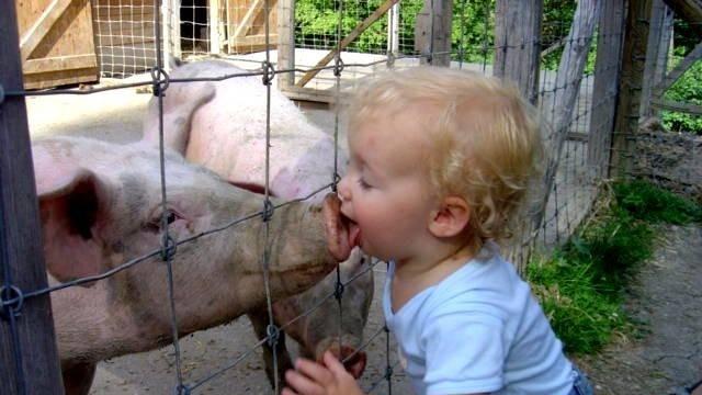 7 Potret Kocak Pemandangan Nyeleneh di Kebun Binatang Ini Bikin Tepuk Jidat