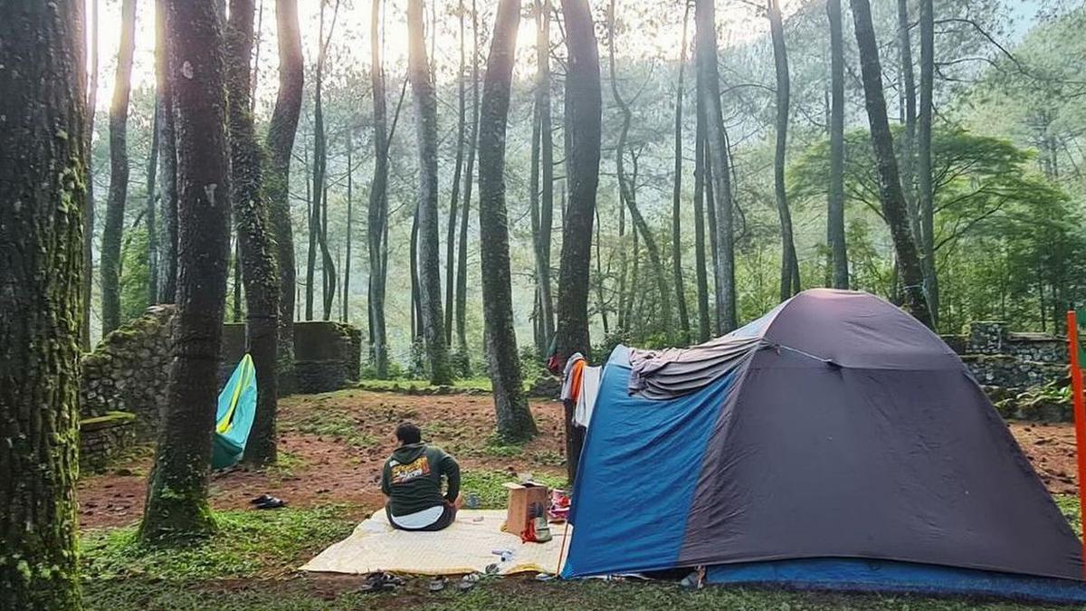 Kronologi mahasiswa ITB hilang di Gunung Puntang, pihak kampus buka suara. Apa penjelasannya? Temukan faktanya: