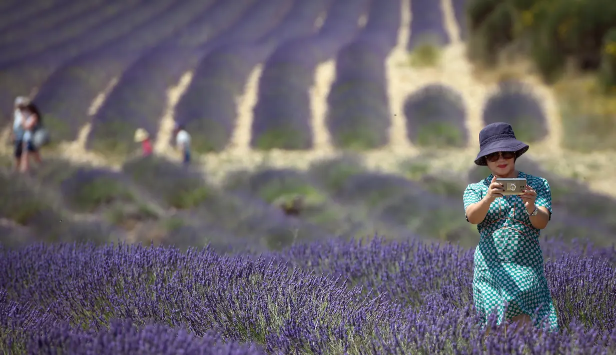 Seorang turis Asia berswafoto dengan latar belakang ladang lavender di Valensole, sebelah tenggara Prancis pada 29 Juni 2019. Di wilayah ini terdapat hamparan luas ladang lavender, menyatu cantik dengan lanskap bukit dan pegunungan di belakangnya. (Photo by GERARD JULIEN / AFP)