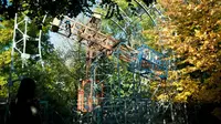 Seorang pria asal Italia bernama Bruno berhasil mengubah hutan yang lebat dan tidak terjamah menjadi taman bermain yang sangat menyenangkan (Foto: http://www.businessinsider.com/)