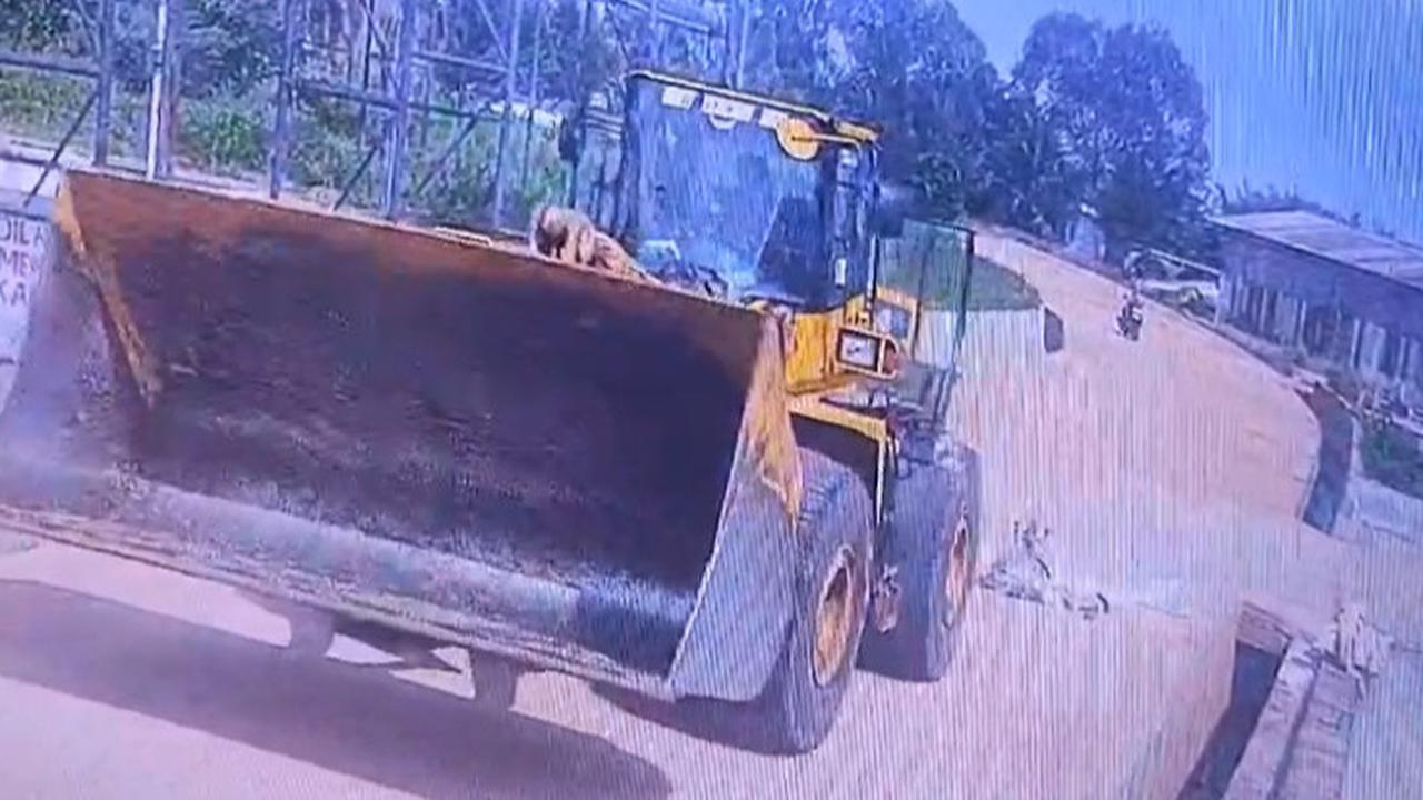 Pekerja Pabrik di Lampung Tewas Terlindas Alat Berat, Sopir Ngaku Tak Melihat Korban