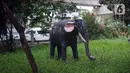 Kondisi patung gajah di  Taman Martha Tiahahu yang terbengkalai di kawasan Blok M, Jakarta Selatan, Selasa (17/11/2020). Taman yang berdiri sejak 1948 tersebut kini kondisinya terbengkalai, dengan sampah dan rumput liar yang tumbuh hampir di seluruh sudut taman. (Liputan6.com/Immanuel Antonius)