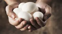 Batas Aman Konsumsi Telur dalam Sehari