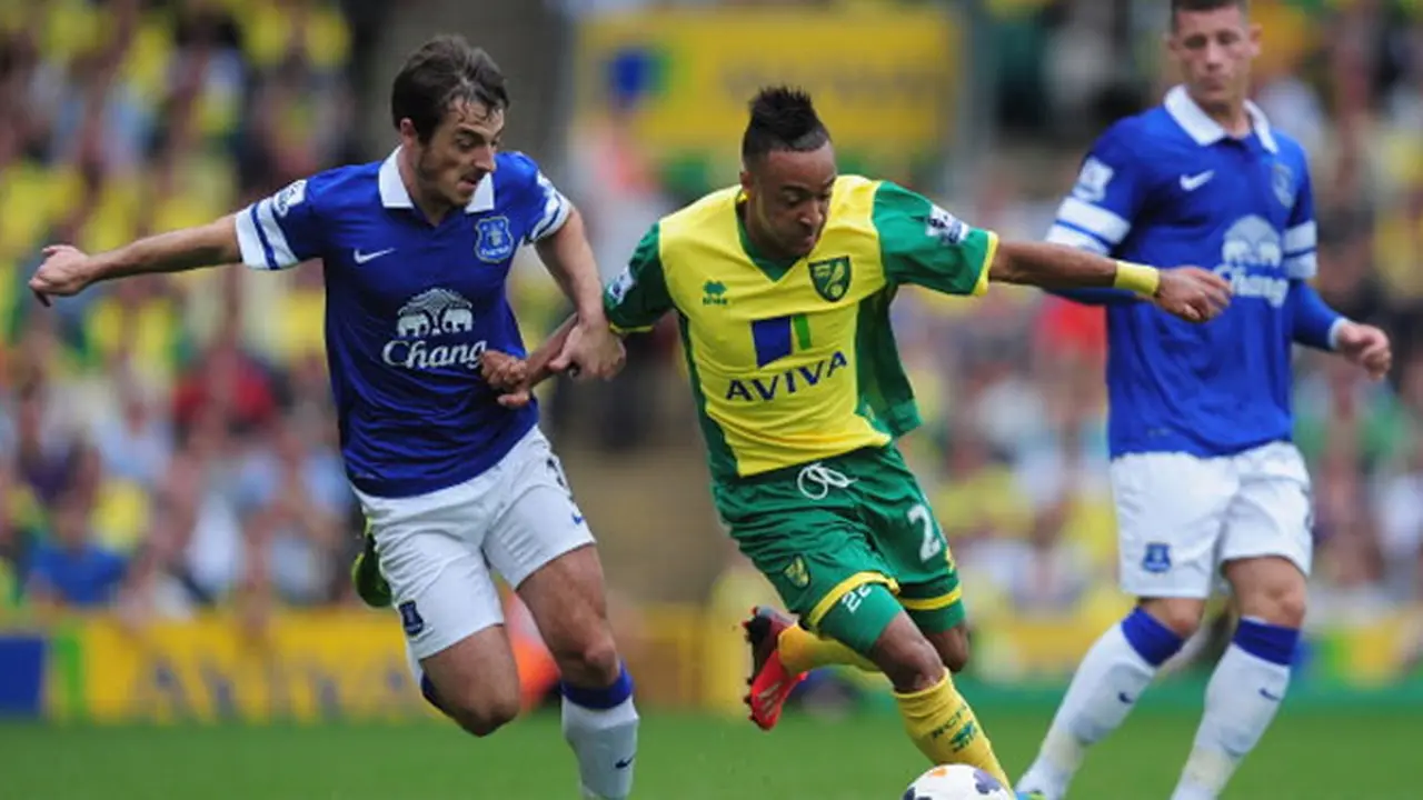 norwich-everton-130817c.jpg