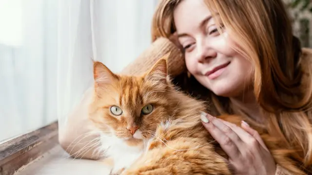 Cat and Owner