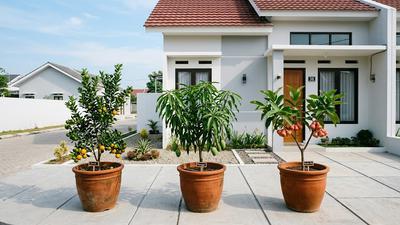 10 Tanaman Buah untuk Rumah Tipe 36, Cocok Ditanam dalam Pot