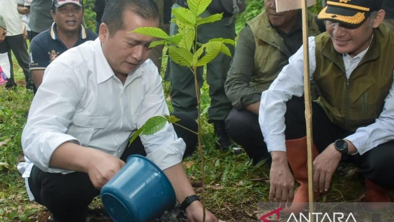 Gubernur NTB Ajak Warga Perkuat Komitmen Jaga Kelestarian Hutan NTB