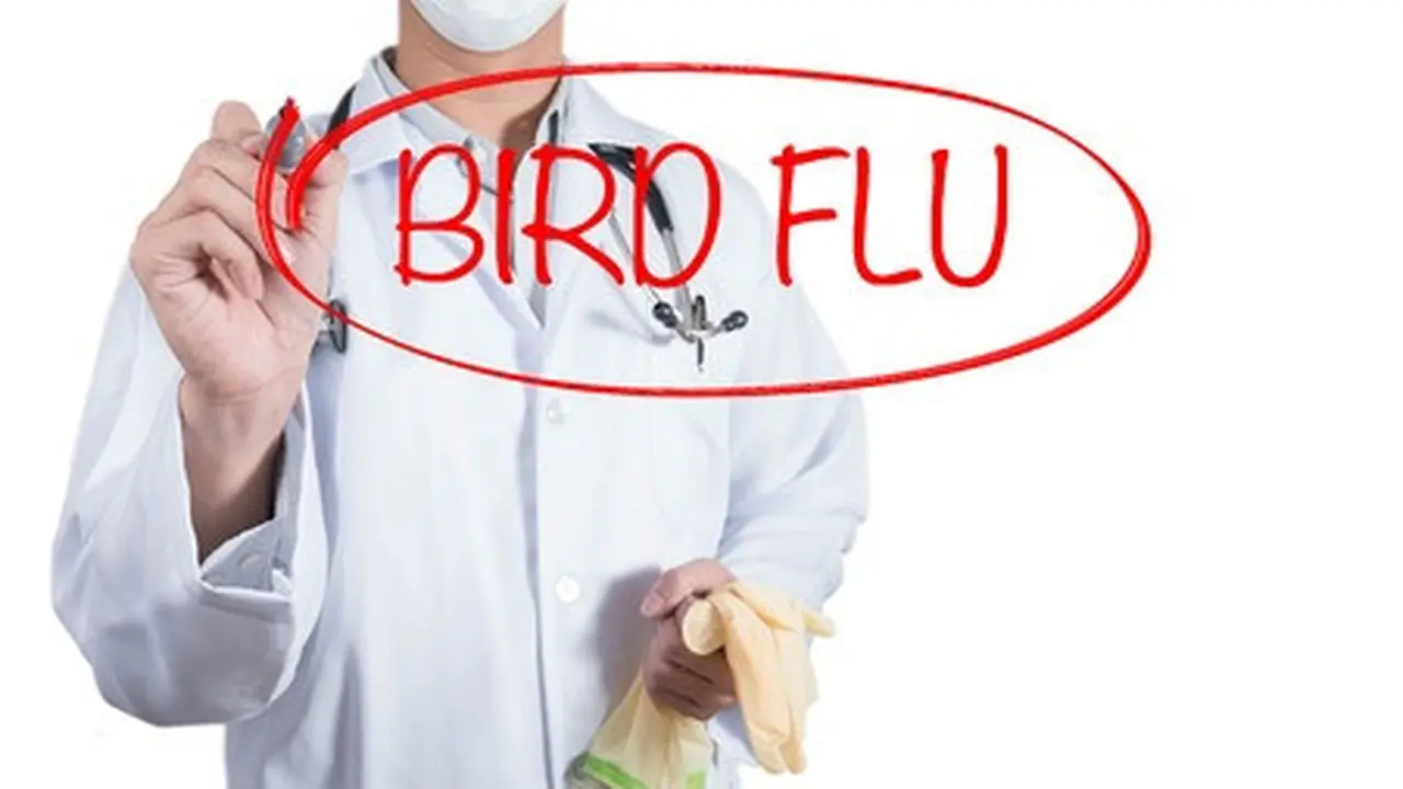Lindungi Diri Anda dari Flu Burung dengan Cara Ini