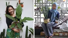 Tika Akmar (foto kiri) dan Swastika Nohara memperlihatkan koleksi tanaman hias di kediaman masing-masing, Rabu (15/07/2020). Mengoleksi dan merawat beragam tanaman hias menjadi hobi baru untuk mengisi waktu luang serta membuang kejenuhan pada masa pandemi COVID-19. (Liputan6.com/Herman Zakharia)