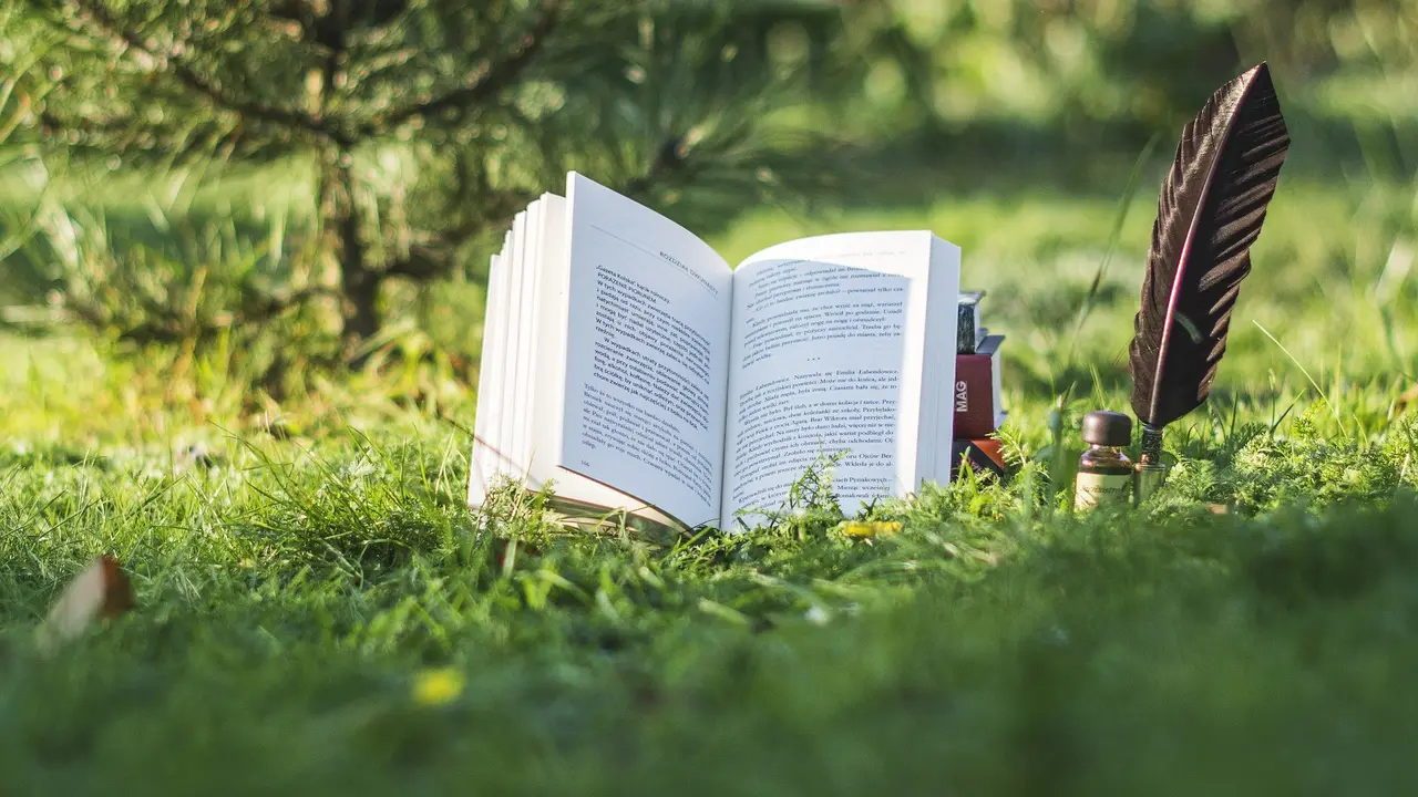 Ilustrasi buku (Image by Katrina_S from Pixabay)
