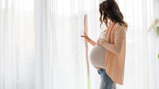 Ilustrasi/copyright shutterstock.com/Tomsickova Tatyana