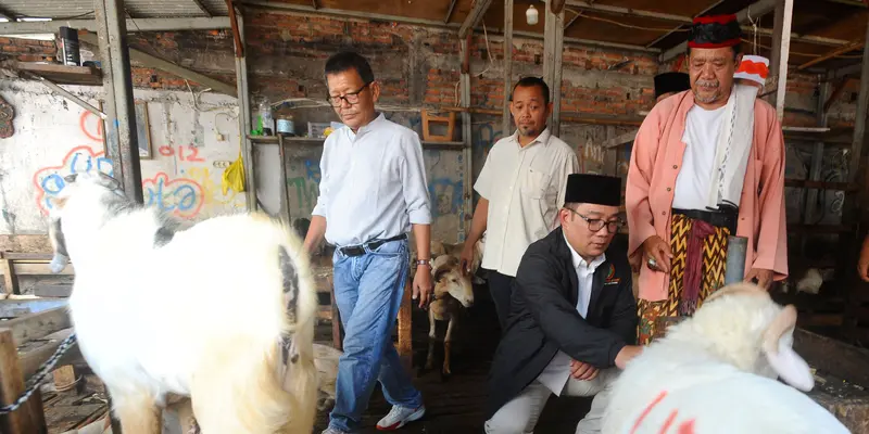 Serap Aspirasi, Bacagub Ridwan Kamil Sambangi Pasar Kambing Tanah Abang