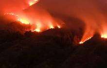 Berkas Kasus Kebakaran Bukit Teletubbies Bromo Dilimpahkan ke Kejaksaan
