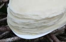 Trik Kulit Lumpia Tetap Awet Meski Tanpa Kulkas