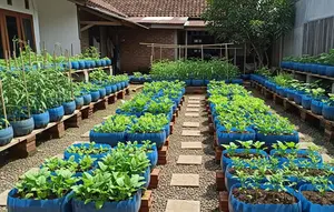 10 Cara Membuat Kebun Pangan Keluarga dari Galon Bekas, Produktif dan Ramah Lingkungan