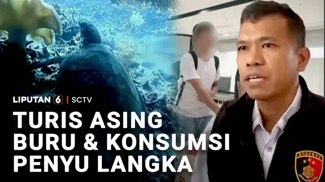 Turis Asing Buru dan Konsumsi Penyu Langka