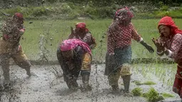 Petani bermain lumpur saat memeriahkan Hari Padi Nasional di desa Tokha di pinggiran Kathmandu, Nepal, Selasa (29/6/2021). Peringatan Hari Padi Nasional yang juga disebut Asar Pandra ini ditandai dengan dimulainya penanaman padi di sawah saat musim hujan. (AFP/Prakash Mathema)